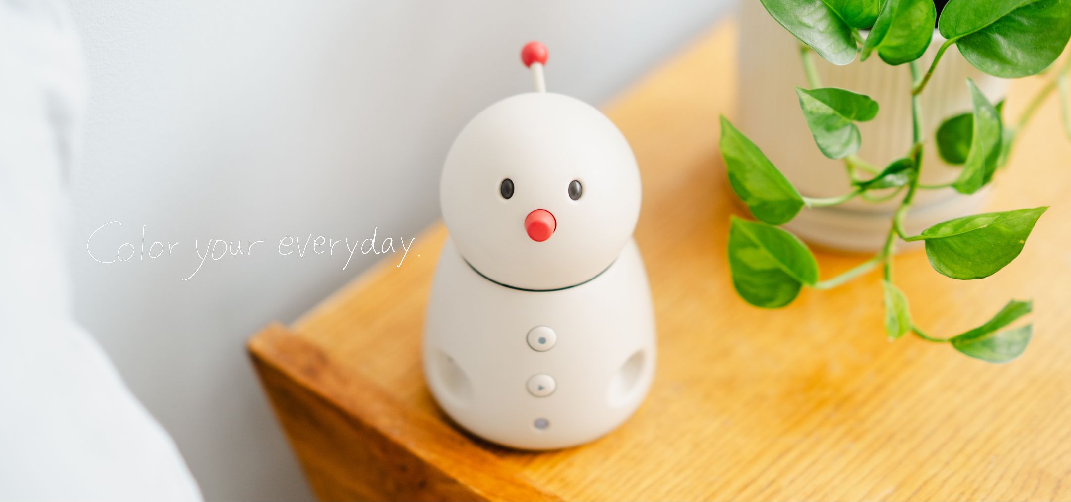 BOCCO emo